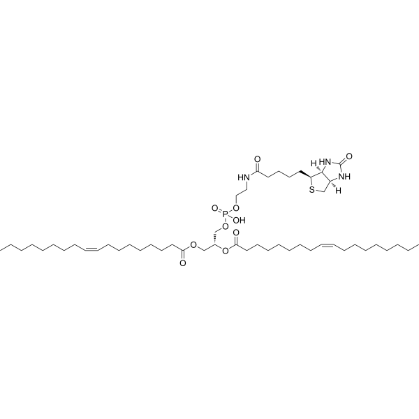 N-Biotinoyl-1,2-dioleyoylphosphatidylethanolamine 165191-88-8